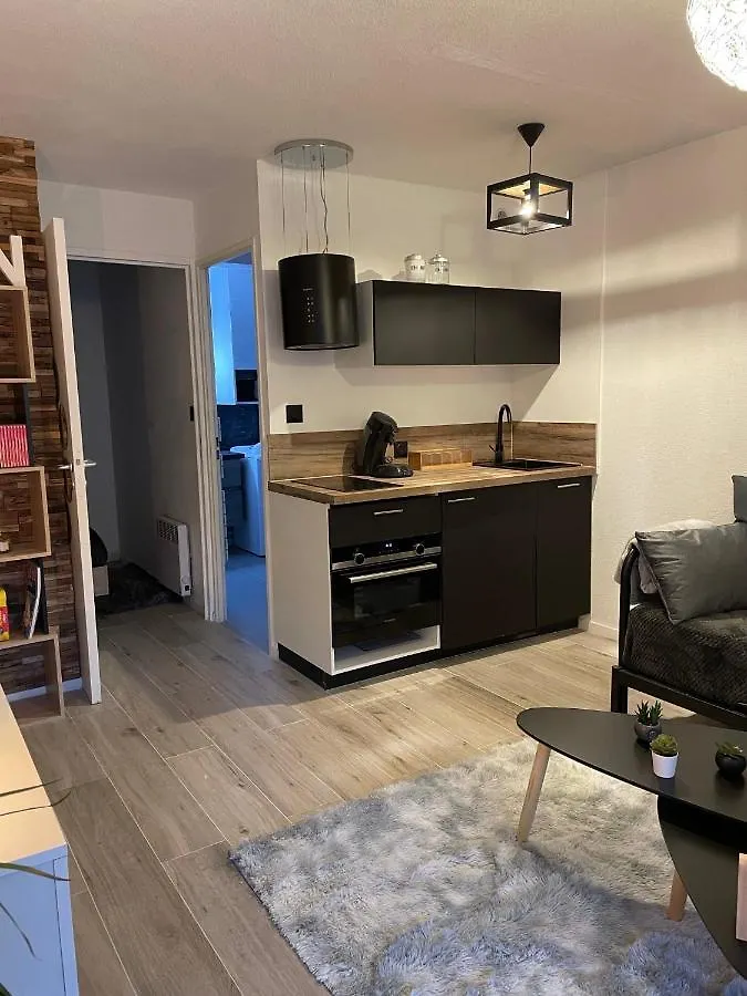 Appartement T2 hypercentre Luchon, jardin et parking privatifs à Saint-Mamet