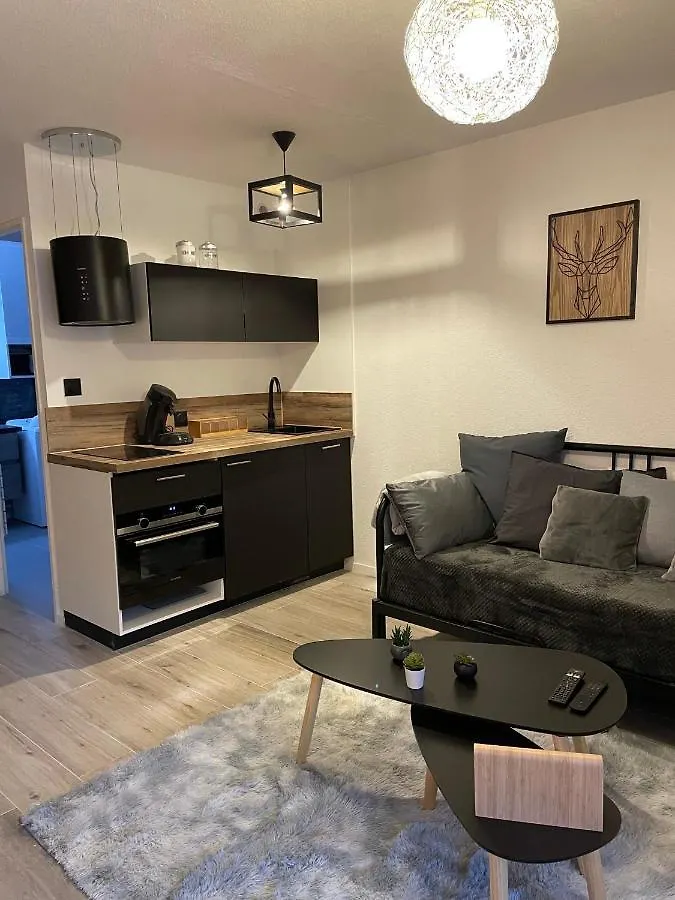 Appartement T2 hypercentre Luchon, jardin et parking privatifs à Saint-Mamet