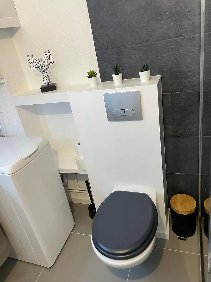 Appartement T2 hypercentre Luchon, jardin et parking privatifs à Saint-Mamet 0*,  France
